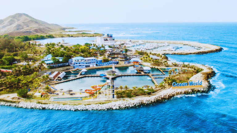 Ocean World – Celebra Día de Reyes